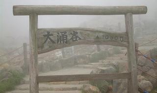 中山国旅国际旅行社 中山国旅国际旅行社