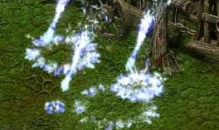 qq华夏战魂携带等级