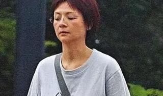 叶子楣照片 叶子楣照片