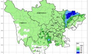 实拍成都大风来袭