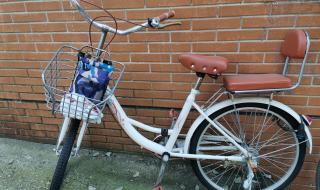 武汉自行车 武汉自行车