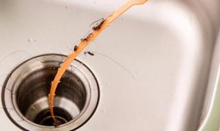 除甲醛的价格怎么收费 除甲醛的价格怎么收费