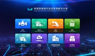 熊猫长着一张人脸