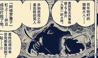 忍风战队vs百兽战队