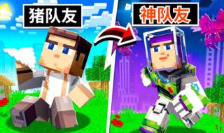 猪先生游戏解说 猪先生游戏解说