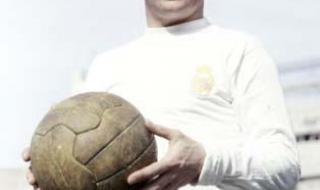 德国队历届世界杯排名